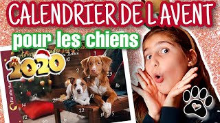 UNBOXING CALENDRIER DE L AVENT POUR CHIENS  ADVENT CALENDAR FOR DOG [upl. by Doowle]