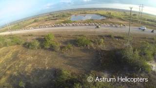 Cross Country Cycling Classic 2013 Belize [upl. by Ynnavoig]