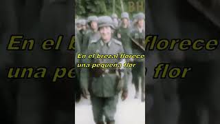 La Marcha Militar favorita de la Wehrmacht shorts [upl. by Kathryn429]