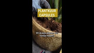 Plantkuur capsules voor een extra boost [upl. by Aelak]