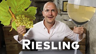 RIESLING  WINE IN 10 [upl. by Docia]