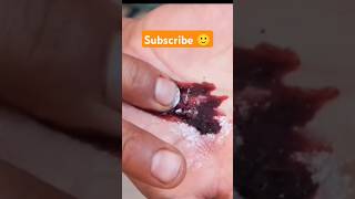 Red Dye by Insects 🤯shorts facts factshorts factsinhindi dadajifacts insects redcolor beetle [upl. by Crifasi]