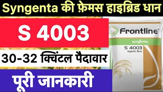 Syngenta s 4003 paddy variety  syngenta s 4003 dhan ki kheti kaise kare [upl. by Onyx]