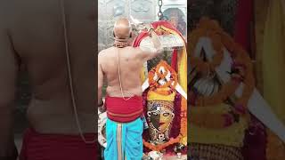 ujjainmahakal mahakal youtube ujjain ujjainmahakaal mahadev sawari sawaanindia shortsfeed [upl. by Zalea25]