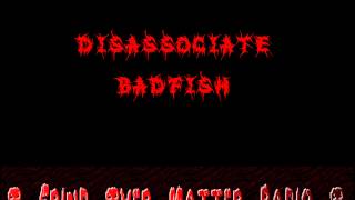 Disassociate  Badfish [upl. by Nonnaehr]