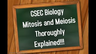 CSEC Biology and HSB Mitosis and Meiosis Thoroughly Explained [upl. by Cammi]