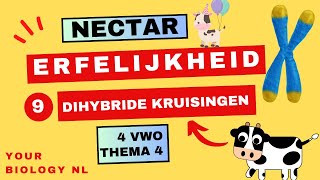 4 vwo  Erfelijkheid  9  Dihybride kruisingen [upl. by Benny]