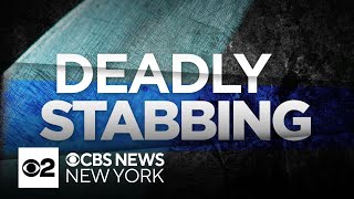 Police provide update on deadly stabbing officerinvolved shooting in Queens [upl. by Gnex]