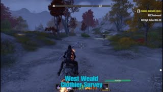 ESO West Weald Clothier Survey Location The Elder Scrolls Online [upl. by Patsis]