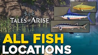 Tales Of Arise All Fish Locations [upl. by Ipoillak176]