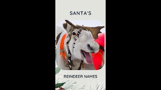 All Santas Reindeer Names 🎅 shorts [upl. by Zawde69]