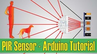 How PIR Sensor Works and How To Use It with Arduino [upl. by Etteuqal]