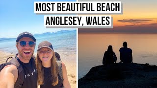 The Most Beautiful Beach in Wales Jellyfish Puffins amp Sunset What to do in Anglesey Wales [upl. by Nixon233]