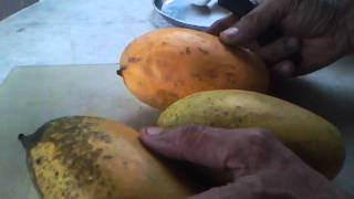 HOW TO FIND OUT  ORGANIC MANGOES VS CHEMICAL TREATED MANGOES [upl. by Negiam]