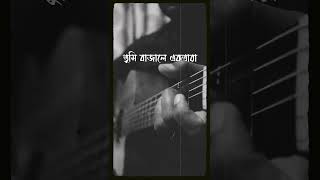 Amar Vindeshi Tara  Fingerstyle Cover AcousticCover AcousticGuitar Fingerstyle chandrobindu [upl. by Hairabez268]