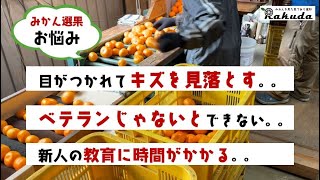 みかん農家さんに朗報！みかんをカメラで粗選別！？「外観選別装置 Rakuda」新登場！ [upl. by Donal]