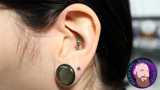 The Whole Truth  Conch to Conch Industrial Piercing [upl. by Llednor174]