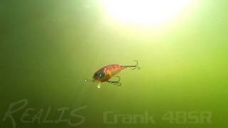 DUOs Lures in Motion 9  Realis Crank 48SR [upl. by Francyne770]