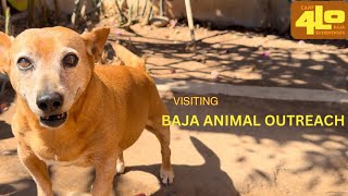 Baja Animal Outreach [upl. by Caves]