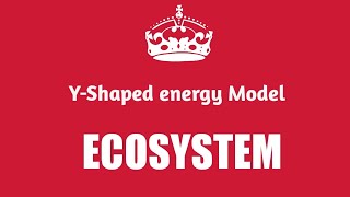 YShaped Energy Flow Model Lecture 77 [upl. by Aicirtam492]