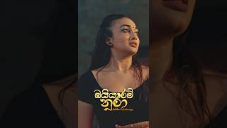 Oyyaram Nura ඔය්යාරම් නුරාOut Now 🔥🔥 music song newsong trending viralvideodeshaninehara [upl. by Andres]