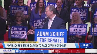 Protestors take over Schiff victory speech [upl. by Jania]