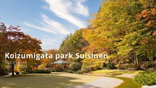 Koizumigata park suisinen 4K HDR Autumn leaves in Japanese garden [upl. by Nrehtak]