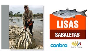 🐟 Pesca de sabaletas y lisas de agua dulce en Ecuador 2018 [upl. by Eimaral]