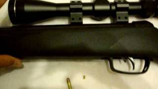 Gamo Big Cat 1200 [upl. by Lisetta]