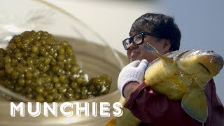 The Worlds Best Caviar Now Made in China MUNCHIES Presents [upl. by Donoho778]