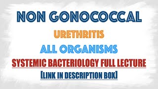 Non Gonococcal Urethritis  All the causative agents Bacteria Viruses fungi Parasites [upl. by Frye]