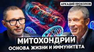 Аркадий Прокопов Что скрывают ваши митохондрии Доктор Дзидзария о старении и хронических болезнях [upl. by Uttica]