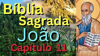 Bíblia Sagrada Livro de João Capítulo 11 de 21 livro de áudio com visão geral rápida e concisa [upl. by Wilen]