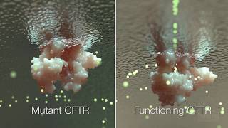 Cystic Fibrosis Mechanism and Treatment  HHMI BioInteractive Video [upl. by Leirza741]