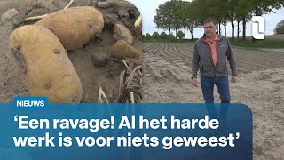 Ook boeren hebben veel last gehad van noodweer ⛈️🧑‍🌾  L1 Nieuws [upl. by Sinnej386]