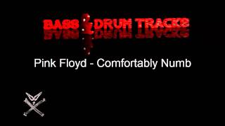 Pink Floyd  Comfortably Numb  Bass And Drum Tracks [upl. by Eelra480]