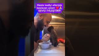 Hasta kediyi elleriyle besleyen adam ♥️🙏 SEVGİ İYİLEŞTİRİR shorts sevgi kedi cat [upl. by Niessuh]