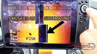 5 MUSKIES ON SIDEIMAGING HOW TO SEE MUSKIES ON SIDEIMAGING Canadian Vlogs Day 145 [upl. by Elsy]