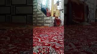 Mufti Tasir Nabi Salik Sahb Ka bayan [upl. by Damalis873]