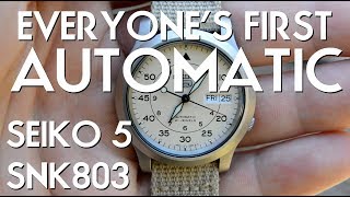 Seiko 5 SNK803 Watch SNK809 Cream Dial Review  Ep 5  The Automatic [upl. by Joachima]