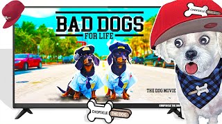 Bad Boys but Wiener Dogs  Reaction Cute and Funny Movie Parody [upl. by Gomar]