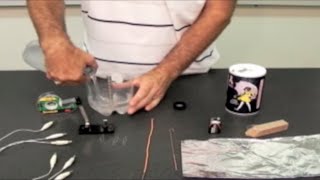 Build a Faraday Motor With Your Students  Arbor Scientific [upl. by Conroy40]