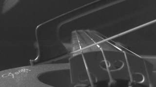 Bowed violin string in slow motion [upl. by Dlorad]