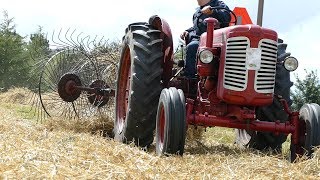 Bukh 452 Super Raking Straw w Vicon Acrobat Hayturner  Old Timers  DK Agriculture [upl. by Lleihsad]