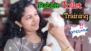 മുയലിന് ലിറ്റർ ട്രെയിനിങ്  How to litter train your Pet Rabbit  Rabbit ToiletTraining Malayalam 4K [upl. by Marfe488]