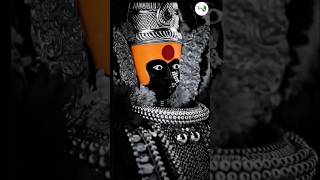 Karuya Udho Udho Ambabaicha 🙏 trending viralshorts navratri ambadevi durgadevi shorts [upl. by Venetis]