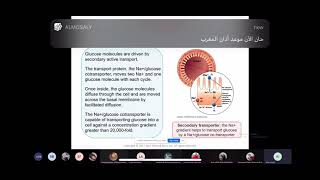 Cytology Lecture 6 Chapter 8Chapter 9 Dr Amer Imresh [upl. by Galatea]