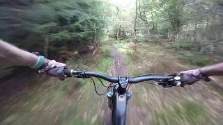 Dalby Forest Offpiste mtb trails [upl. by Ahcsatan415]