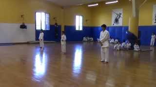 KATA HEIAN SHODAN ceintures blanches suite [upl. by Nylime]