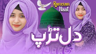 Laiba Fatima  Dil Trap Raha Hai  New Naat Official Video  HQ Studio [upl. by Ondine]